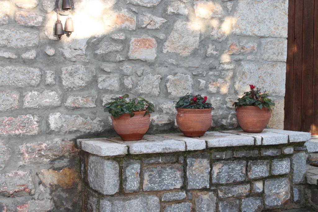 Guesthouse Karahalios Polydrossos Exterior foto